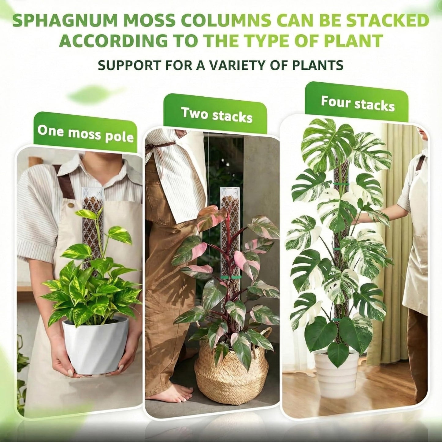 Sisher Monstera Moss Pole 4pcs Plastic Moss Pole for Climbing Plants Work with Sphagnum Moss 16 Inch D Shaped Poles Indoor Plant Support, White
