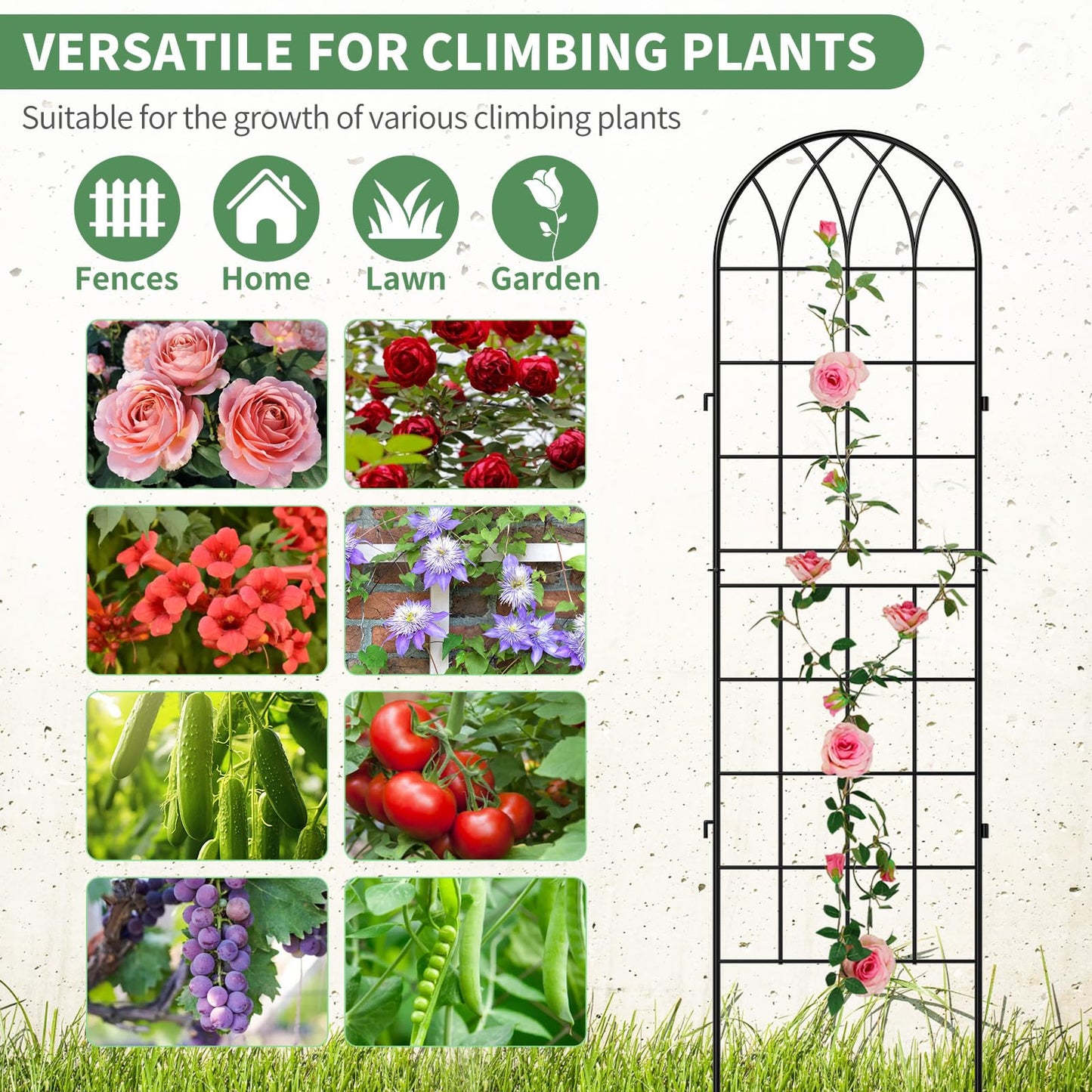 SUNYRISY 4Pack Metal Garden Trellis for Climbing Plants Outdoor, 71x20in Metal Plant Support for Flowers Tomato Cucumber Rose Vegetable Garden Courtyards Lawns Decoration, Black
