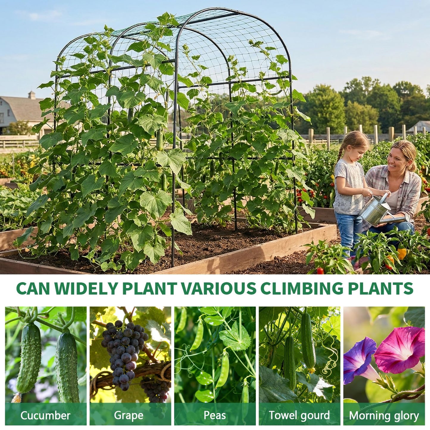 SUNYRISY Garden Arch Trellis for Climbing Plants Outdoor, 71" x 47" x 83" Metal Core Tall Archway Tunnel Plant Support for Cucumber Tomato Vine Flowers Vegetables Climbing Plants