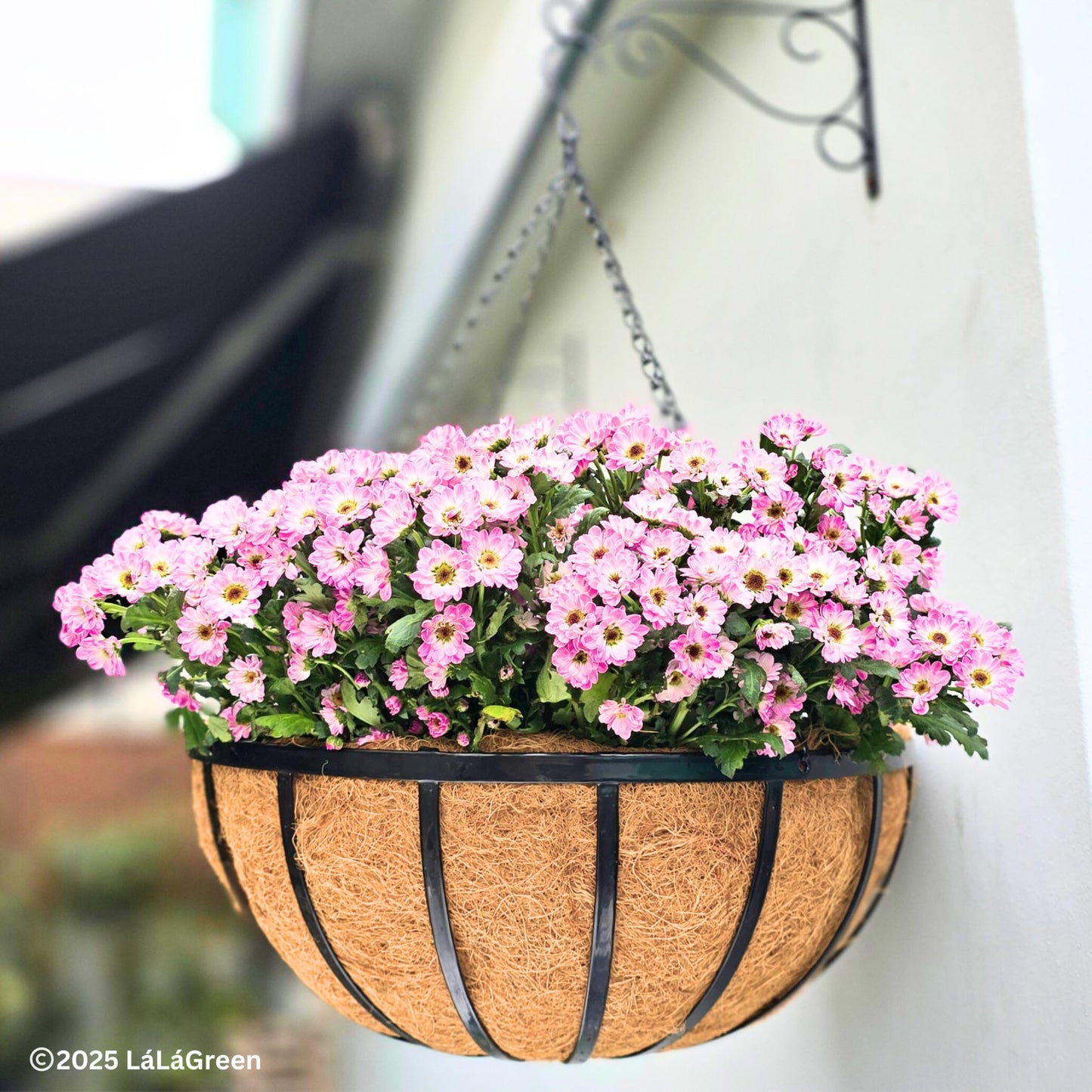 LaLaGreen Outdoor Hanging Baskets for Plants (20 Inch, 2 Pack) Extra Large Black Metal Flat Iron Hanging Planters with Coco Liner Round Flower Pot Holder Hanger Deck Porch Modern Garden Balcony Decor
