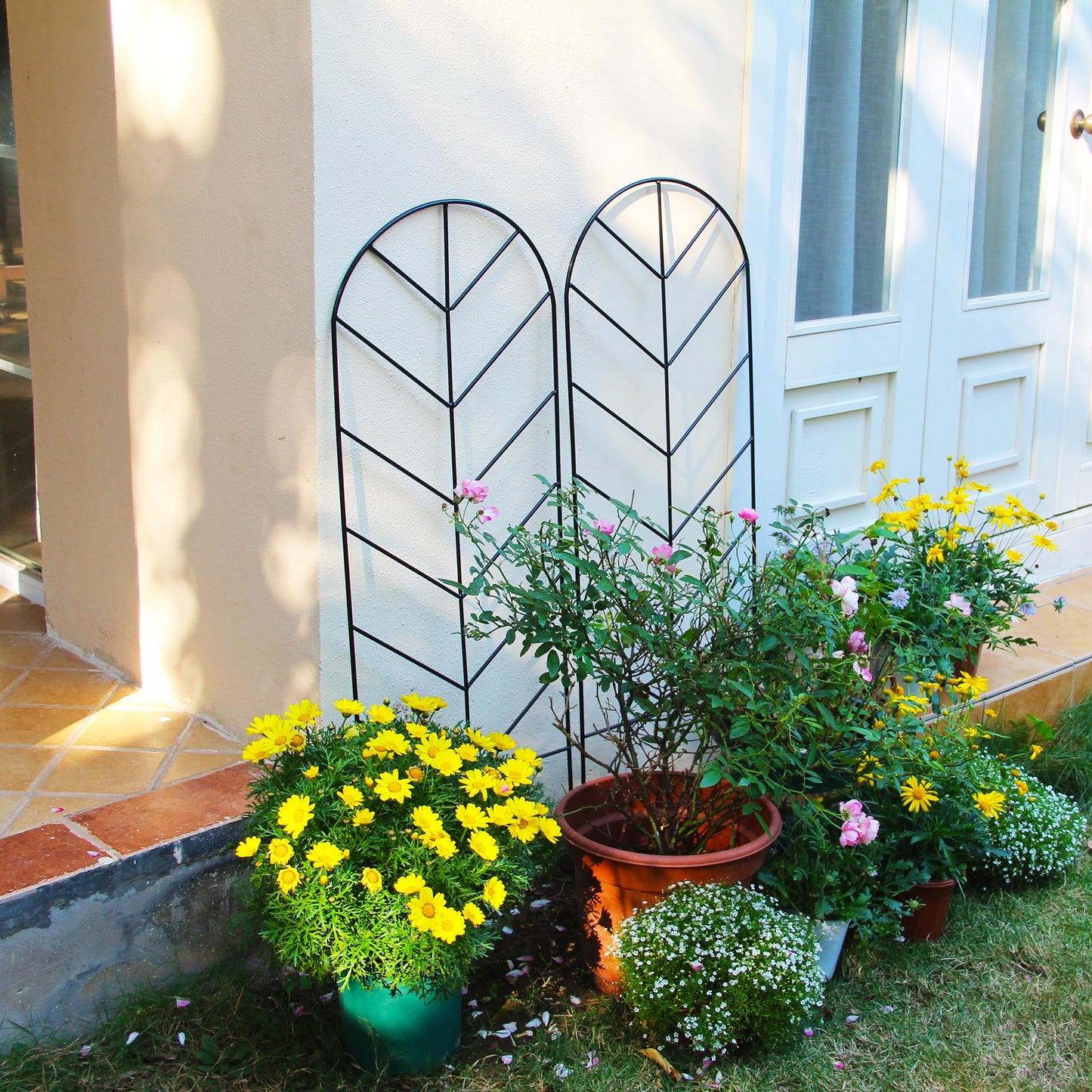 SCENDOR 2 Pack Black Metal Trellis for Climbing Plants - 45" H x 15.9" W Garden Trellis for Roses, Vegetables, Flowers, Lawn, Backyard