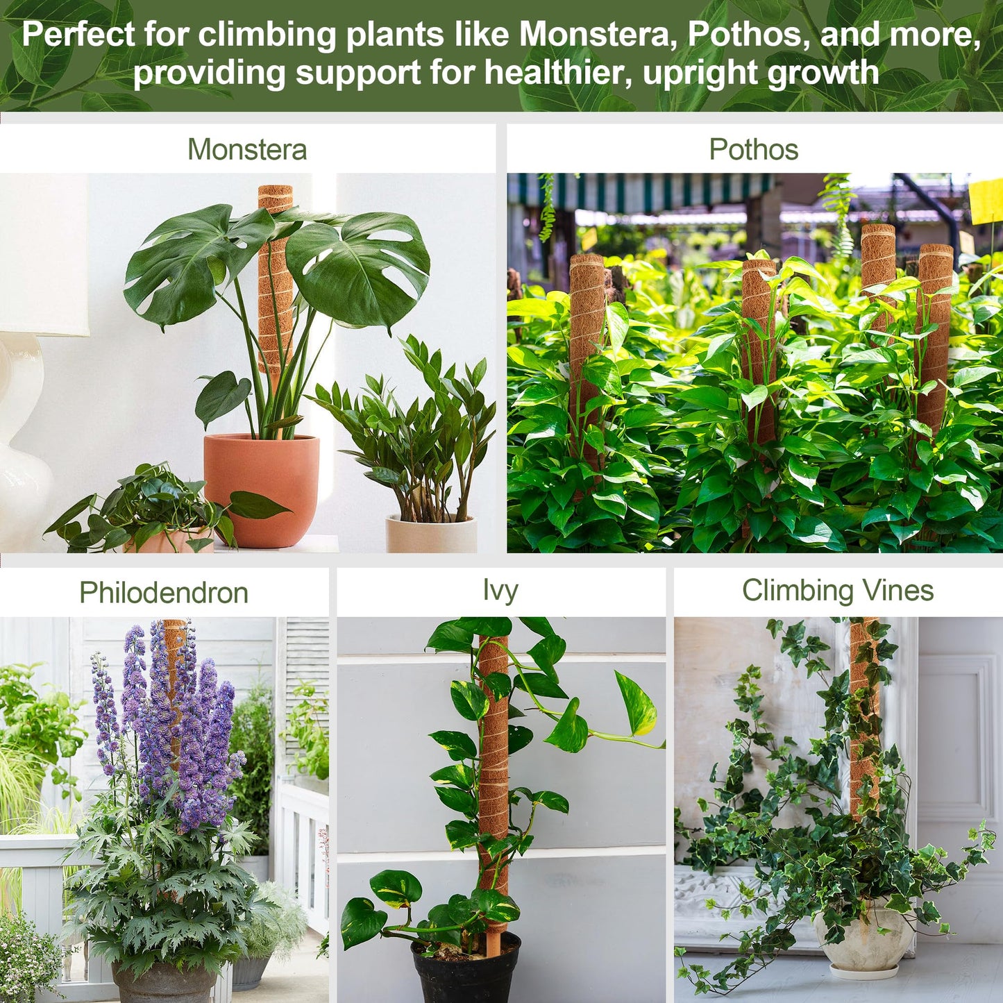 48 Inch Monstera Plant Support, 4 Pack 16 inch Moss Pole for Monstera & Climbing Plants Coco Coir Plant Support, Plant Ties Included