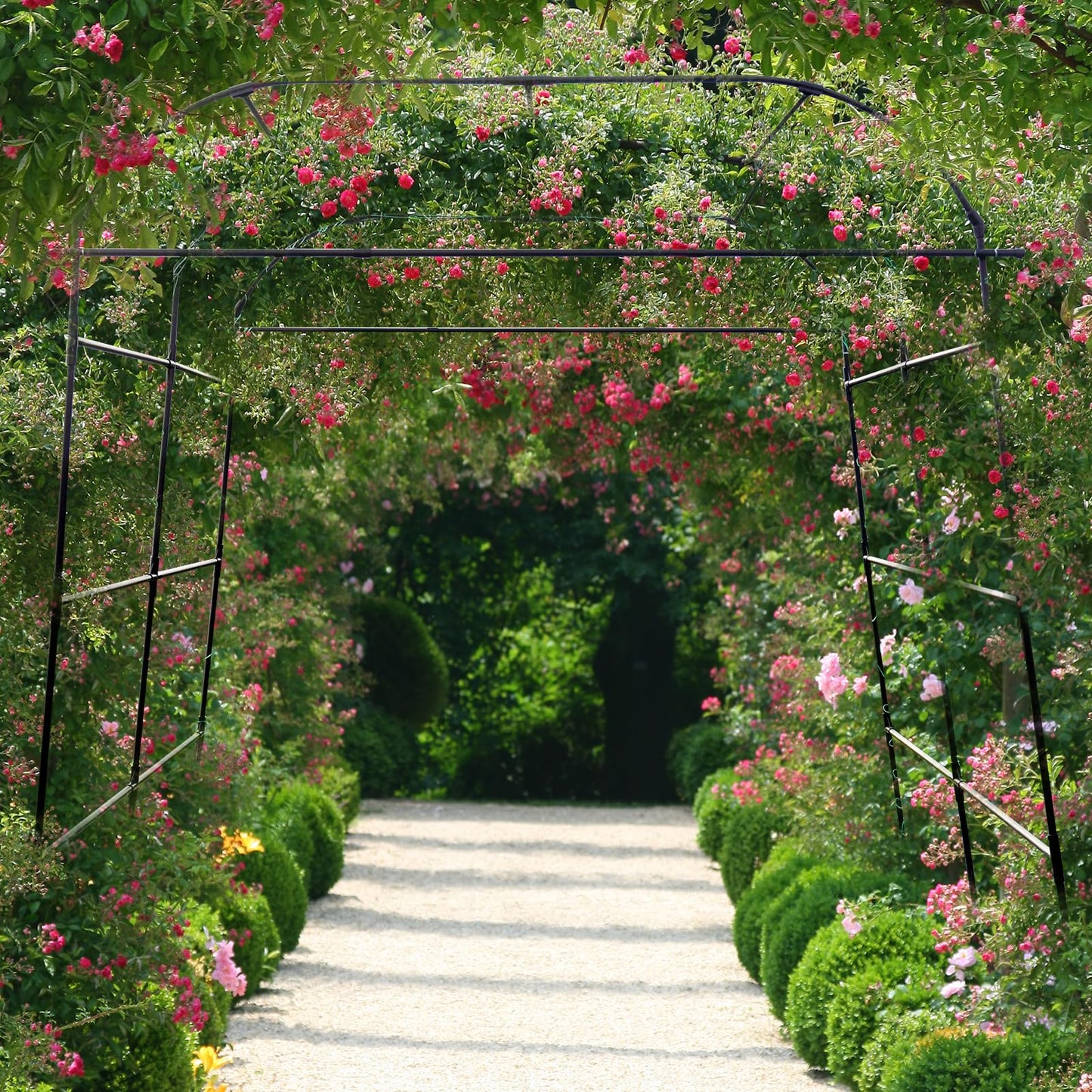 yotoworth Garden Arch Trellis for Climbing Plants Outdoor, Grape Vine Tomato Bean U Frame Plant Vegetable Support, Cucumber Pergola for Backyard, Black