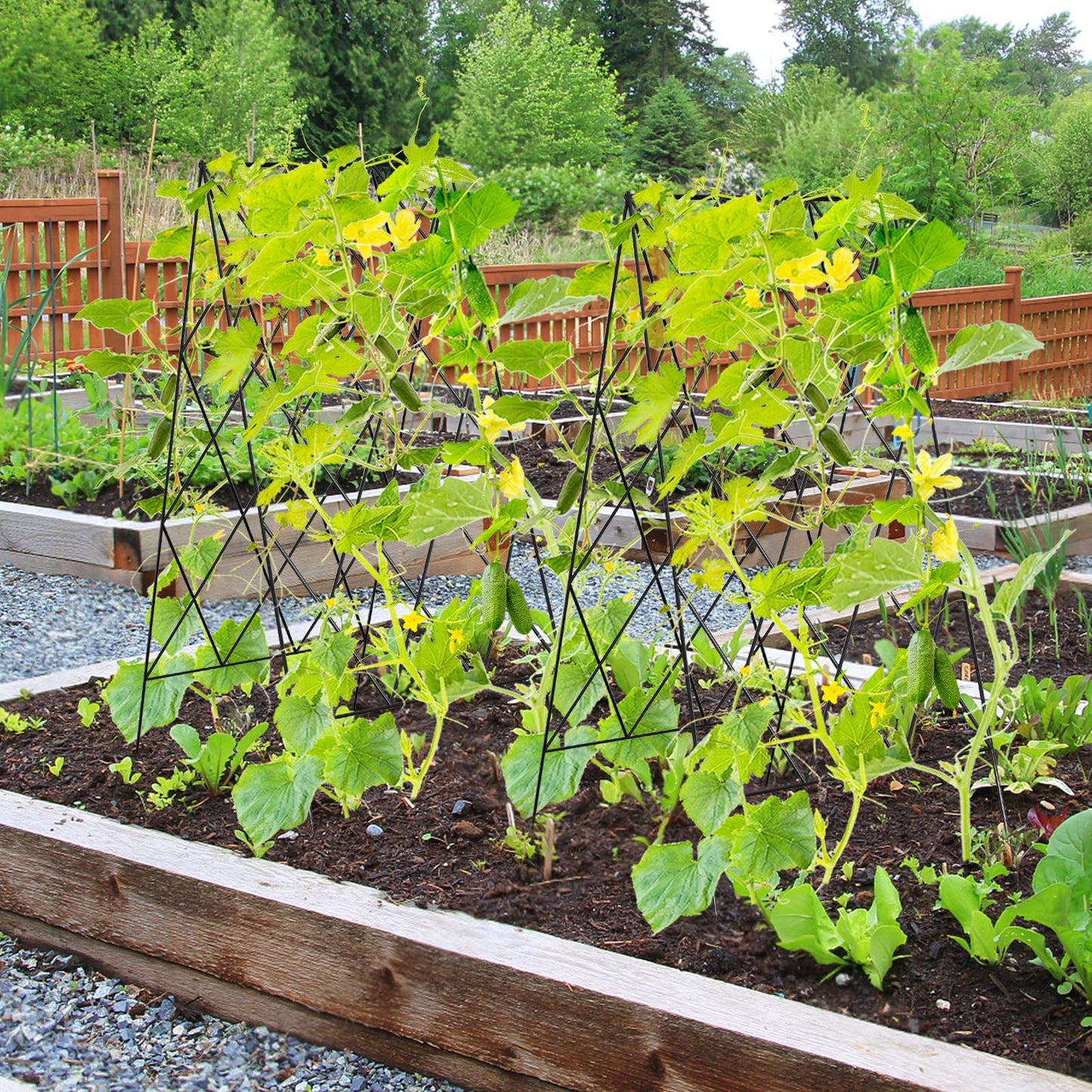 UrGROWA Cucumber Trellis 2 Pack, Foldable A-Frame Garden Trellis for Raised Bed Garden Grow Support with Plant Support Clips, Twist Ties, Plastic Ties, for Cucumber,Tomato, Climbing Plants and Flowers