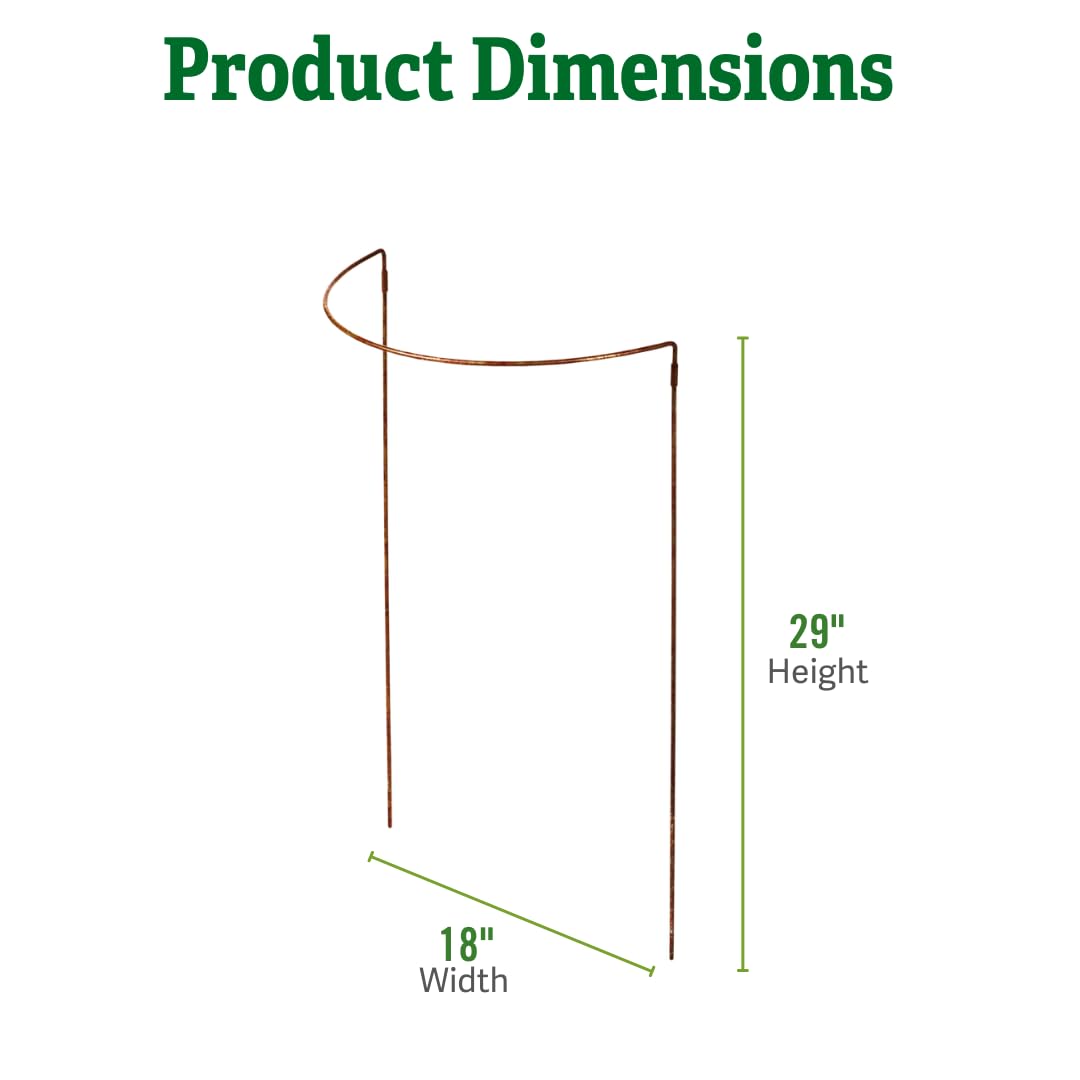 Gardener's Supply Company | 18" x 29" Jardin Half-Round Supports (Set of 2) | Half-Round Plant Supports Prevent Flopping Flowers | Weatherproof Powder-Coated Steel