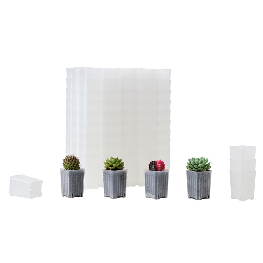BangQiao 120 Pack 2.40 Inch Small Clear Plastic Square Nursery and Seedling Pot, Deep Transplant Seed Starter Planter with Drain Hole for Germination, Herb, Succulent