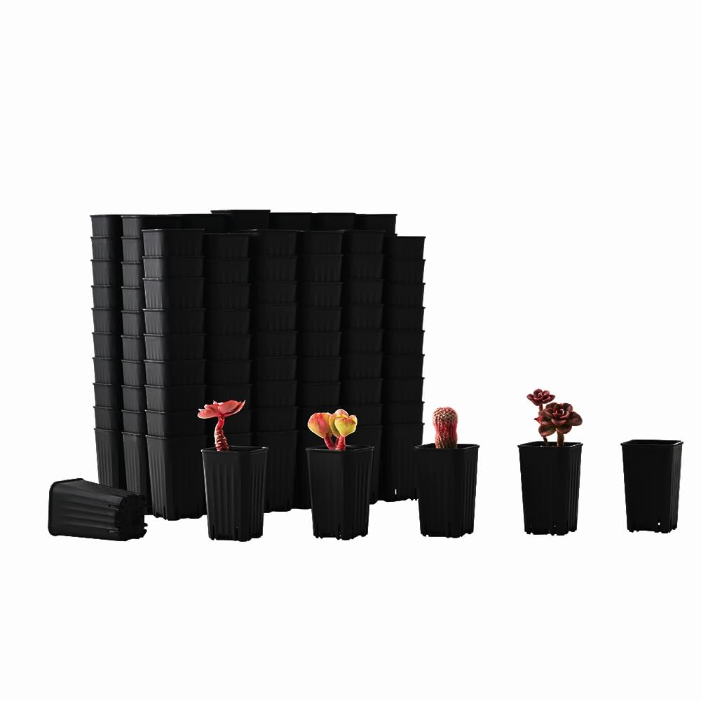 BangQiao 180 Pack 1.95 Inch Tiny Black Plastic Square Nursery and Seedling Pot, Mini Deep Transplant Seed Starter Planter with Drain Hole for Germination, Herb, Succulent