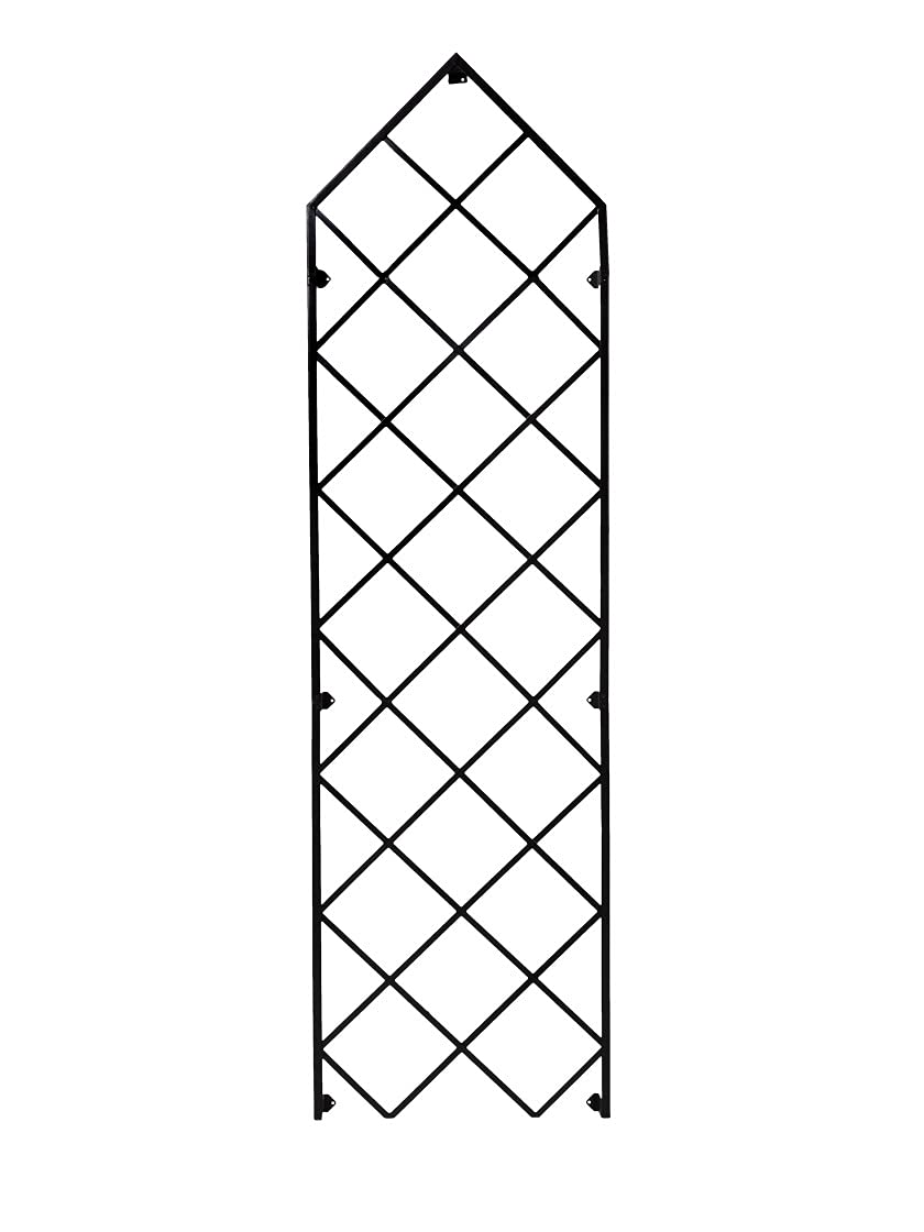 Gardener's Supply Company Lattice Gable Wall Trellis | 9 Feet Tall Sturdy Metal Frame for Outdoor Climbing Plants Support | Best for Vining Crops and Flowering Plants | 32" W x 113.5" H