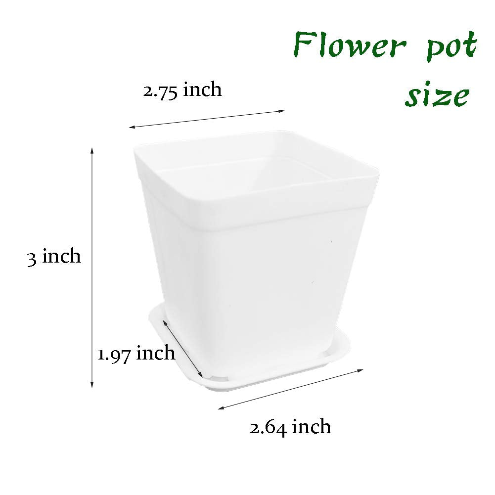 24 Pack 3 Inch White Square Plastic Plant Pots with Saucers,Nursery Seedling Pots with Drainage Hole,Small Planter Containers for Succulents,Flowers,Indoor Outdoor Garden,Home Office Balcony Decor