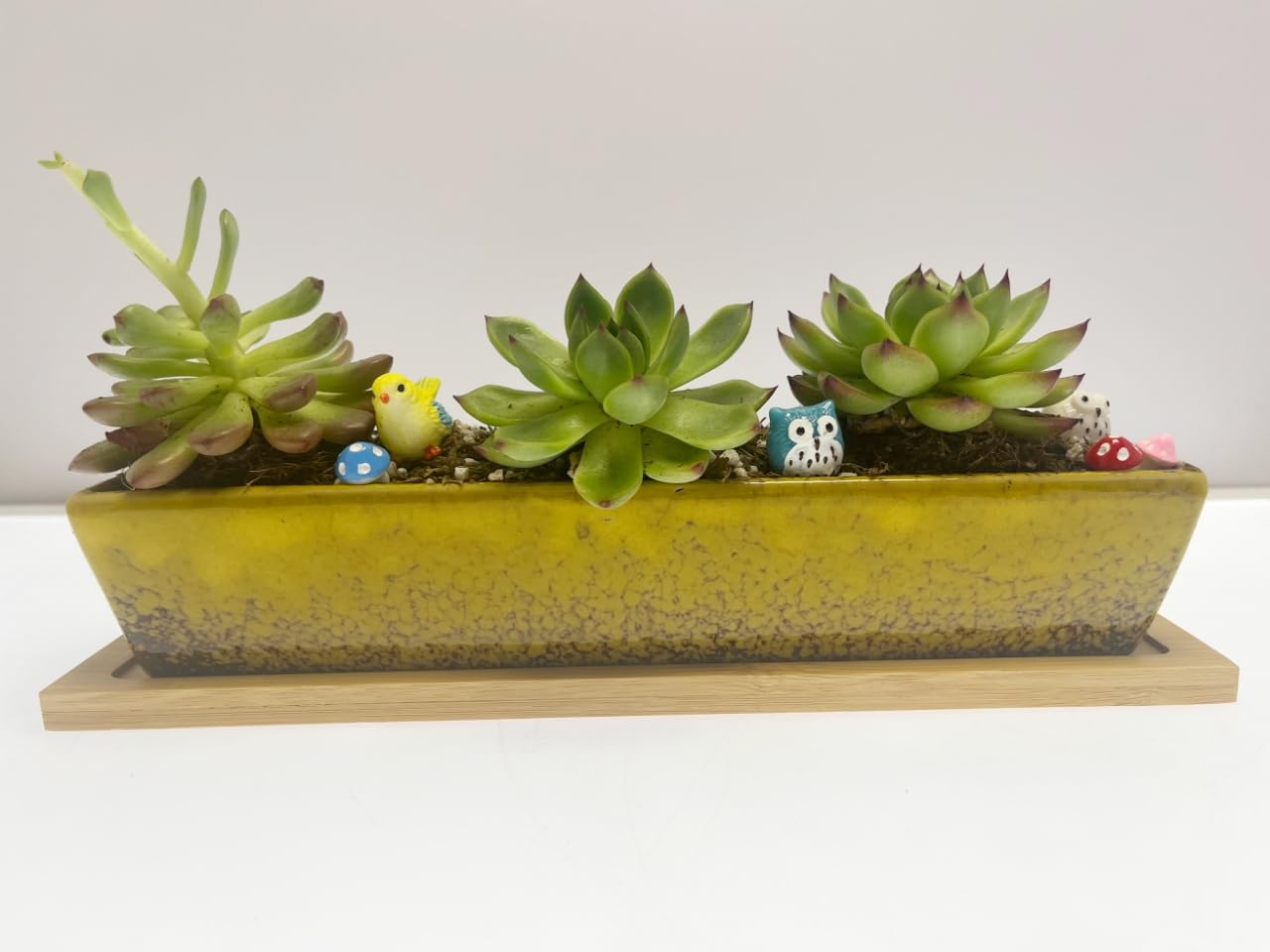 9.8inch yellow long rectangle Ceramic Succulent Planter Pot,one set of Mini Flower Plant Container with Bamboo Saucers. Product size:9.8 x2.35x1.77 inch,not include the plant. (Yellow)