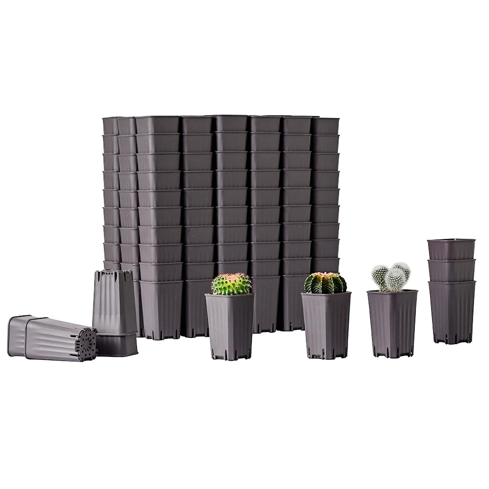 BangQiao 180 Pack 1.95 Inch Tiny Gray Plastic Square Nursery and Seedling Pot, Mini Deep Transplant Seed Starter Planter with Drain Hole for Germination, Herb, Succulent