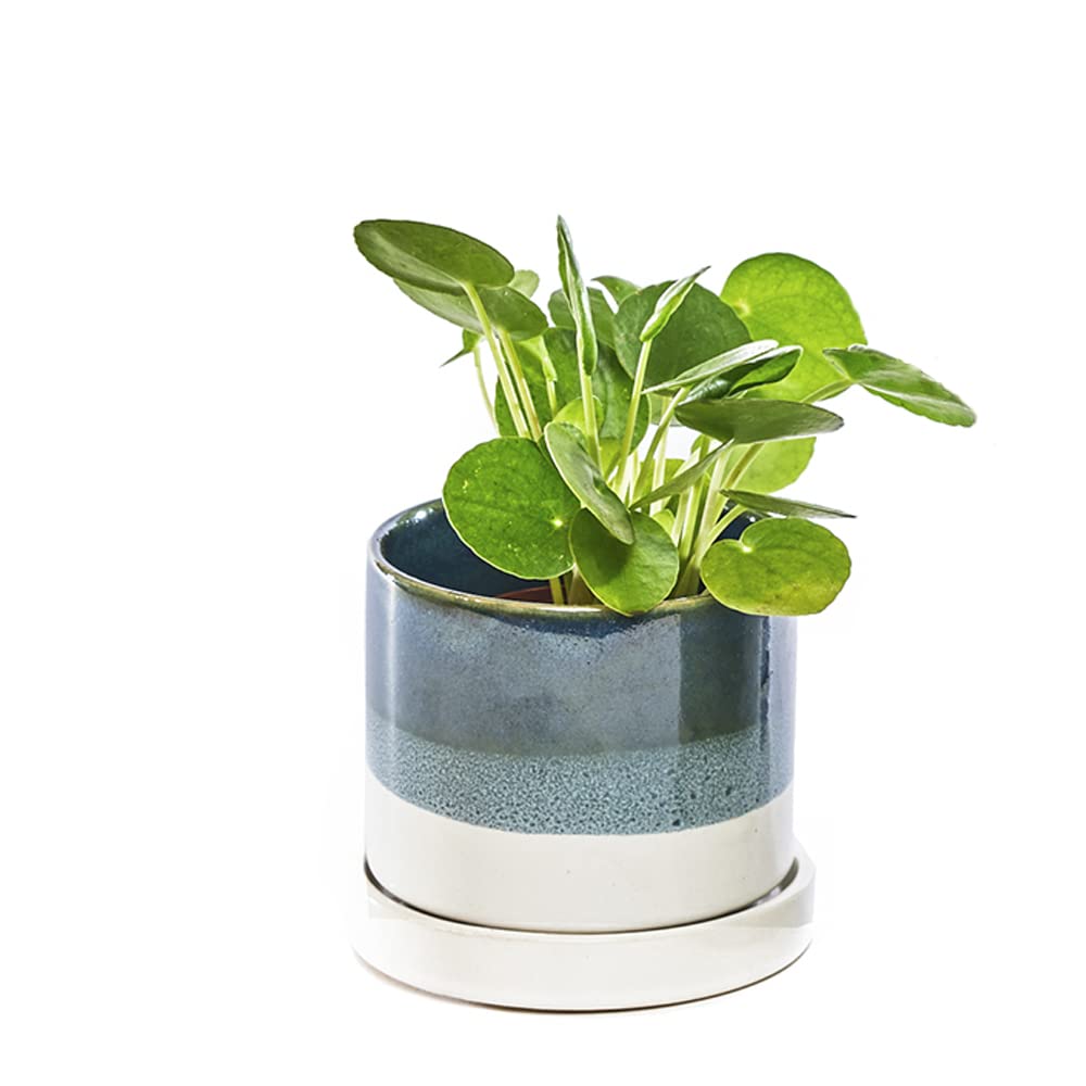 CHIVE ‘Minute’ Ceramic Succulent Planters — Set of 3 — 3” Indoor Cactus & Flower Container Pots with Drainage & Detachable Saucer — Green Blue Mix