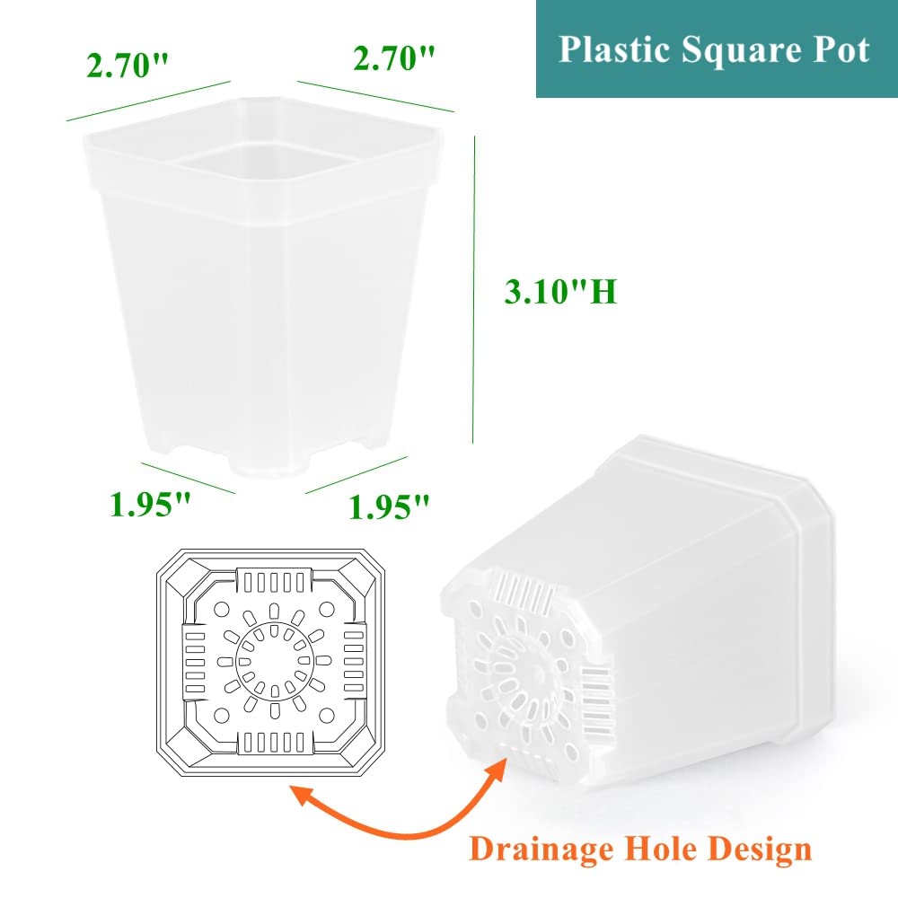 BangQiao 60 Pack Small 2.70 Inch Plastic Square Nursery Pot, Plant Starting and Transplant Planter Container with Drainage Hole for Seed Germination, Clear