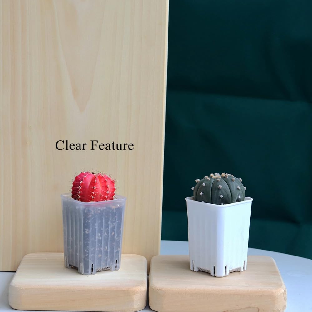 BangQiao 120 Pack 2.40 Inch Small Clear Plastic Square Nursery and Seedling Pot, Deep Transplant Seed Starter Planter with Drain Hole for Germination, Herb, Succulent