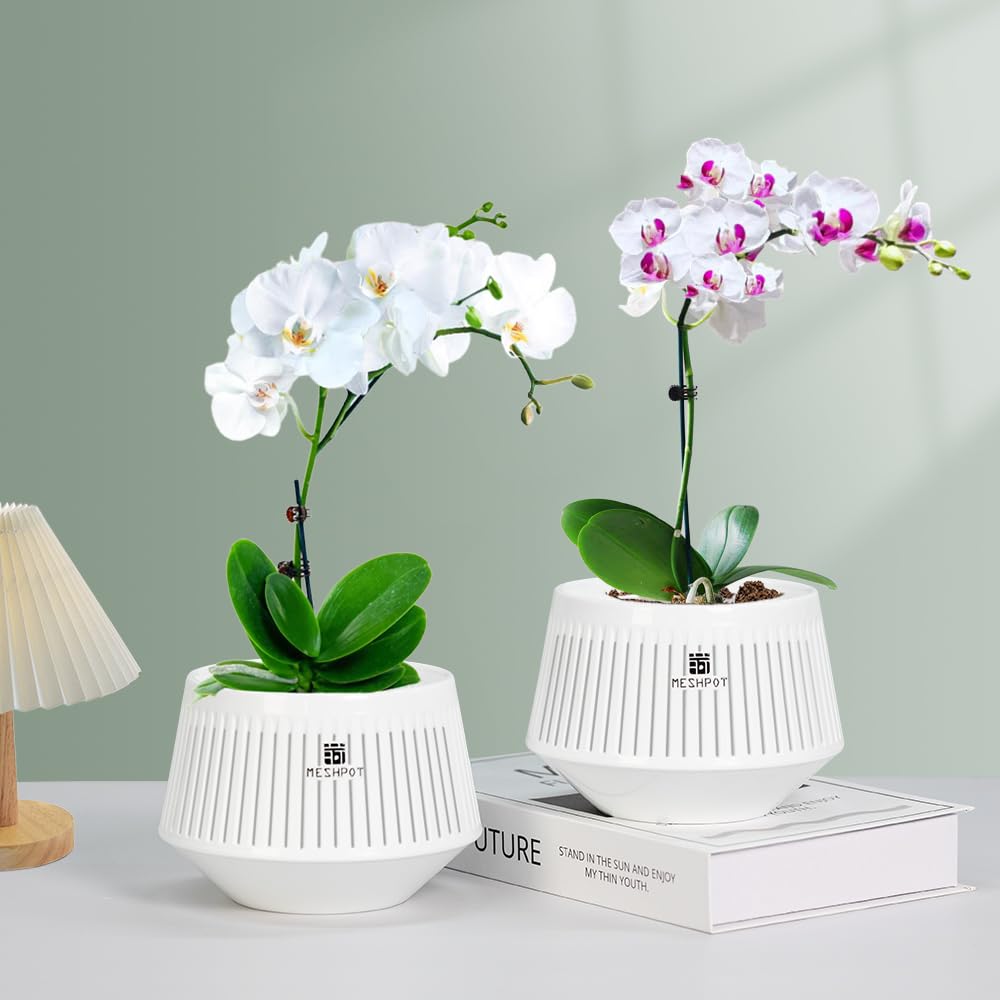 Meshpot 5 inch Orchid Pots with Holes for Repotting,Set of 3,Decorative African Violet Pots with Air-Pruning and Good Air Circulation,Plastic White Orchid Planter with Saucers