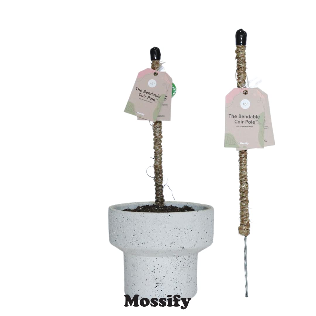 Mossify Bendable Coir Pole for Plants – 30” Premium Manila Coir Moss Pole Monstera Plant Support for Indoor & Outdoor Plant Climbing Support - Comes with Reusable Tape for Durable Plant Pole
