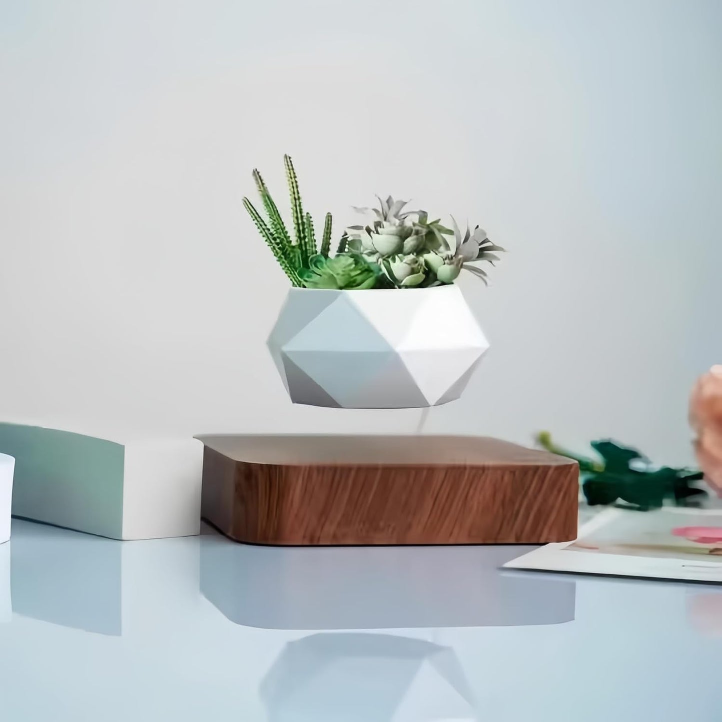 LMingKun Levitating Plant Pot - Floating Plant Pot for Small Plants. Levitating Decor for Home & Office Magnetic Floating Levitating Display (deep Wood Grain)