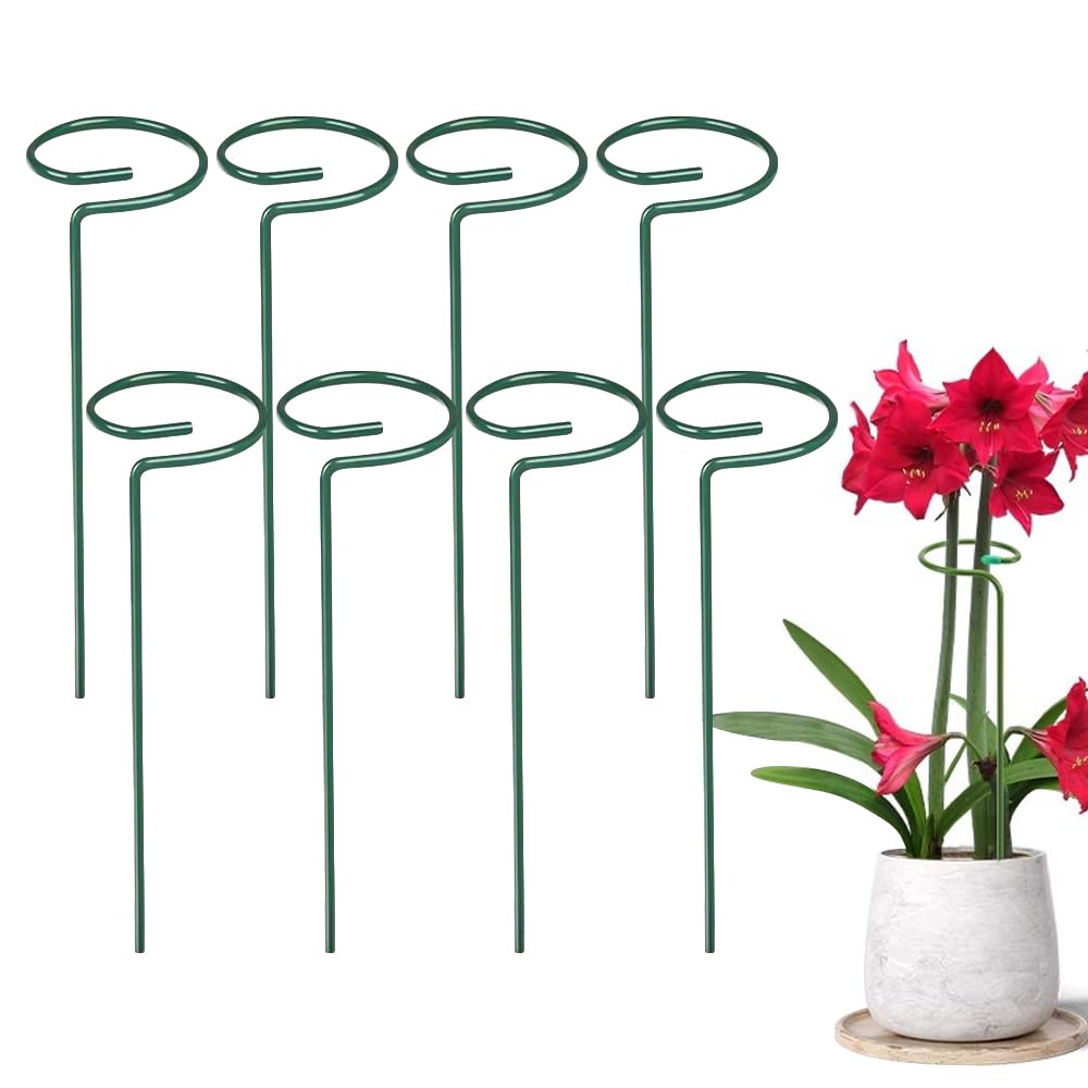 Plant Support Stakes, 16/24/36 Inch Plant Support Rings, 2026 New Single Stem Support for Flowers, Vegetables, Amaryllis, Rose, Orchid, Peony, Lily, Tomatoes (4, 16 Inch)