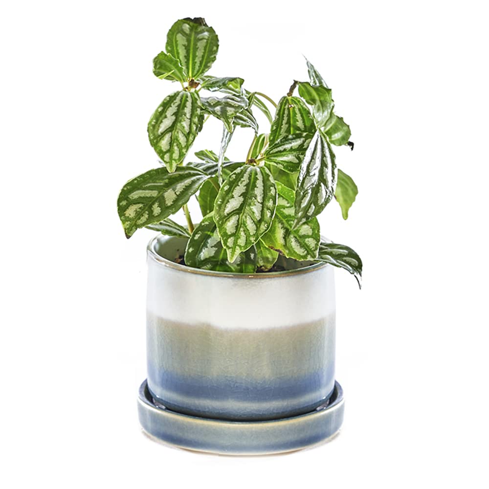 CHIVE ‘Minute’ Ceramic Succulent Planters — Set of 3 — 3” Indoor Cactus & Flower Container Pots with Drainage & Detachable Saucer — Green Blue Mix
