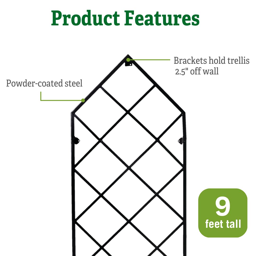 Gardener's Supply Company Lattice Gable Wall Trellis | 9 Feet Tall Sturdy Metal Frame for Outdoor Climbing Plants Support | Best for Vining Crops and Flowering Plants | 32" W x 113.5" H