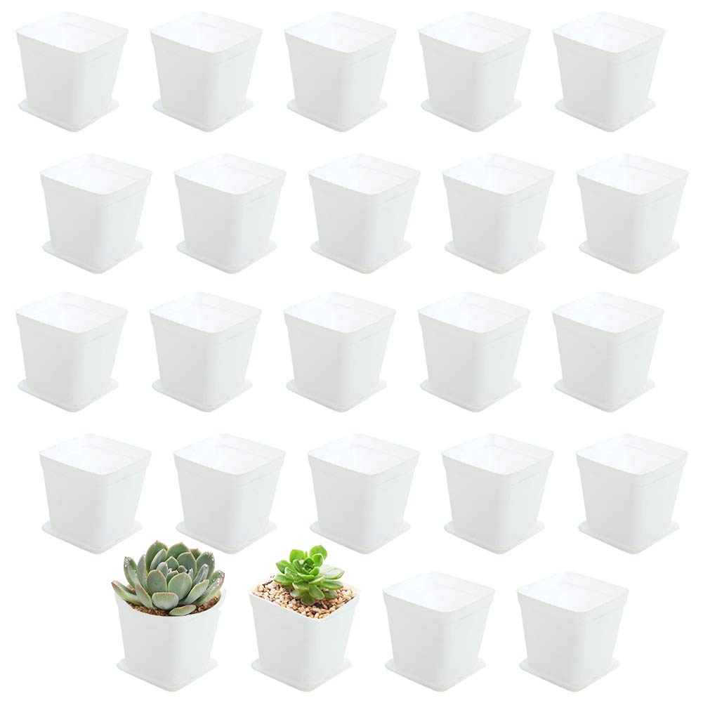 24 Pack 3 Inch White Square Plastic Plant Pots with Saucers,Nursery Seedling Pots with Drainage Hole,Small Planter Containers for Succulents,Flowers,Indoor Outdoor Garden,Home Office Balcony Decor