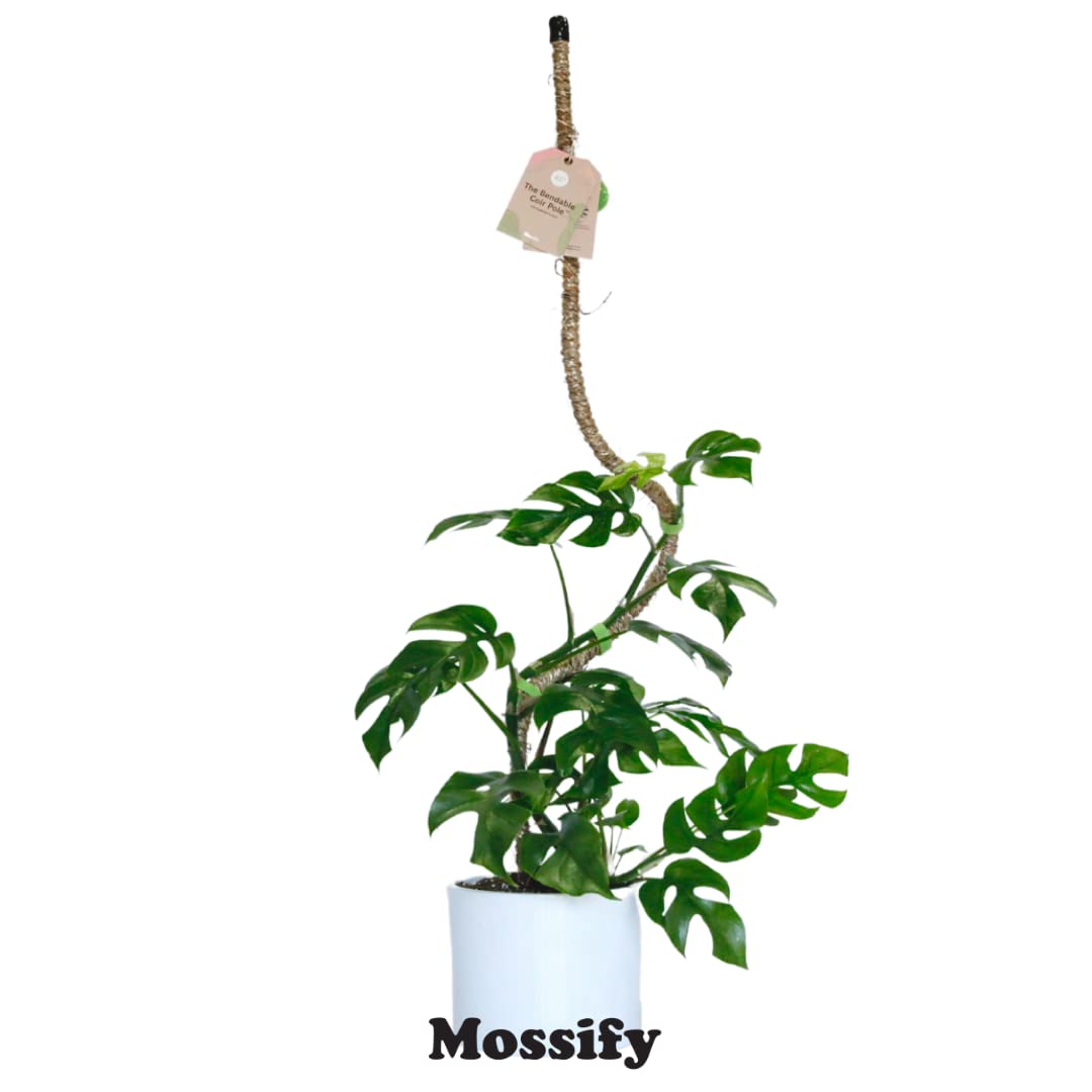 Mossify Bendable Coir Pole for Plants – 30” Premium Manila Coir Moss Pole Monstera Plant Support for Indoor & Outdoor Plant Climbing Support - Comes with Reusable Tape for Durable Plant Pole