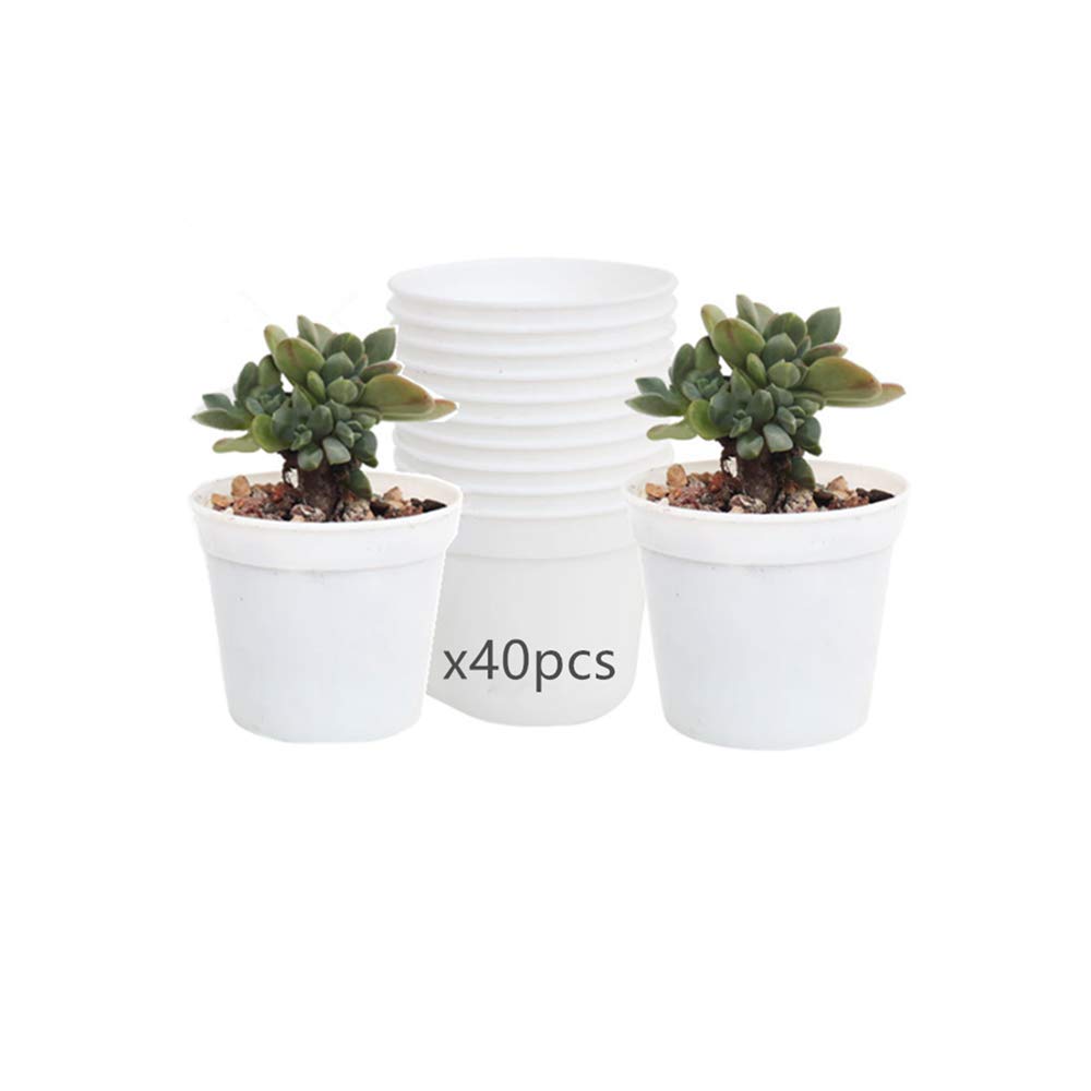 DODXIAOBEUL Round Succulents Plant Pots Drainage Hole, Set of 40 Mini Plant Pots 2.5" Wx2.25 H,Perfect for Plant Seeds,Seedling Nursery Transplanting Planter Container(White-40)