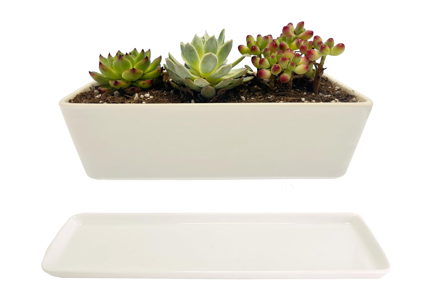 Kipokalor Rectangular White Ceramic Succulent Planter Pot,one Set of 10.19x4.64x3.22inch Modern Minimalist with Ceramic Saucer for Office,Desk,Window.