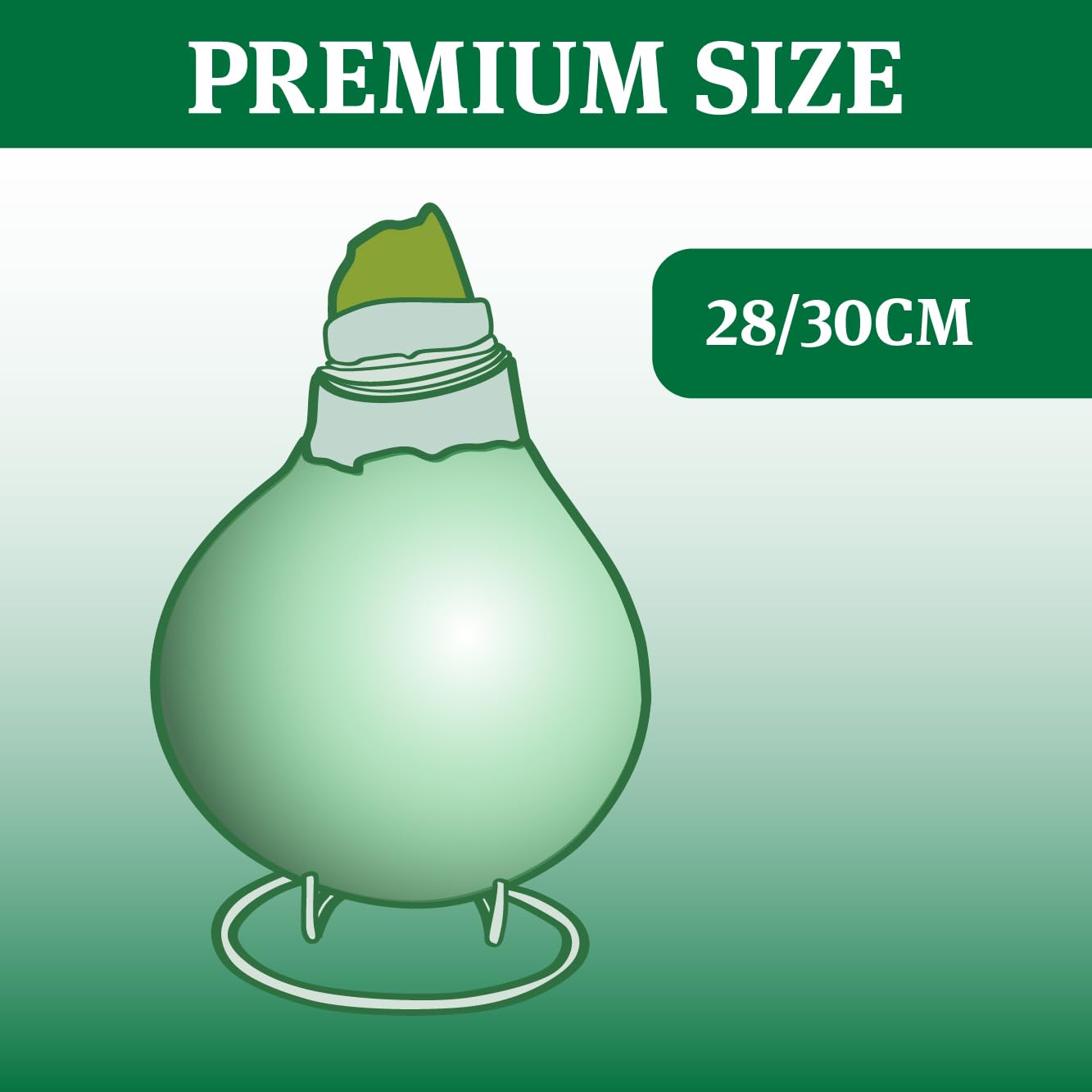 Bunny Tails Waxed Amaryllis Flower Bulb with Stand, Grow Real Blooming Indoor Spring Flowers, No Water Needed