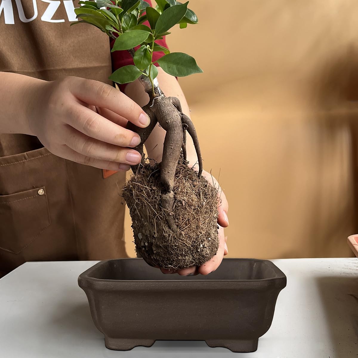 MUZHI 2PACK Unglazed 6” Ceramic Bonsai Pot with Humidity Trays, Breathable Handmade Rectangle Bonsai Starter Planter for Bonsai Tree, Juniper,Ficus, Money Tree