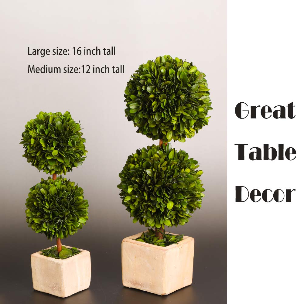 Real Preserved Boxwood Evergreen Potted Tree Globe Tree Topiary in Terracotta Planter, Home Hotel Office Decor Farmhouse (Double Balls Topiary, 12 inches high)