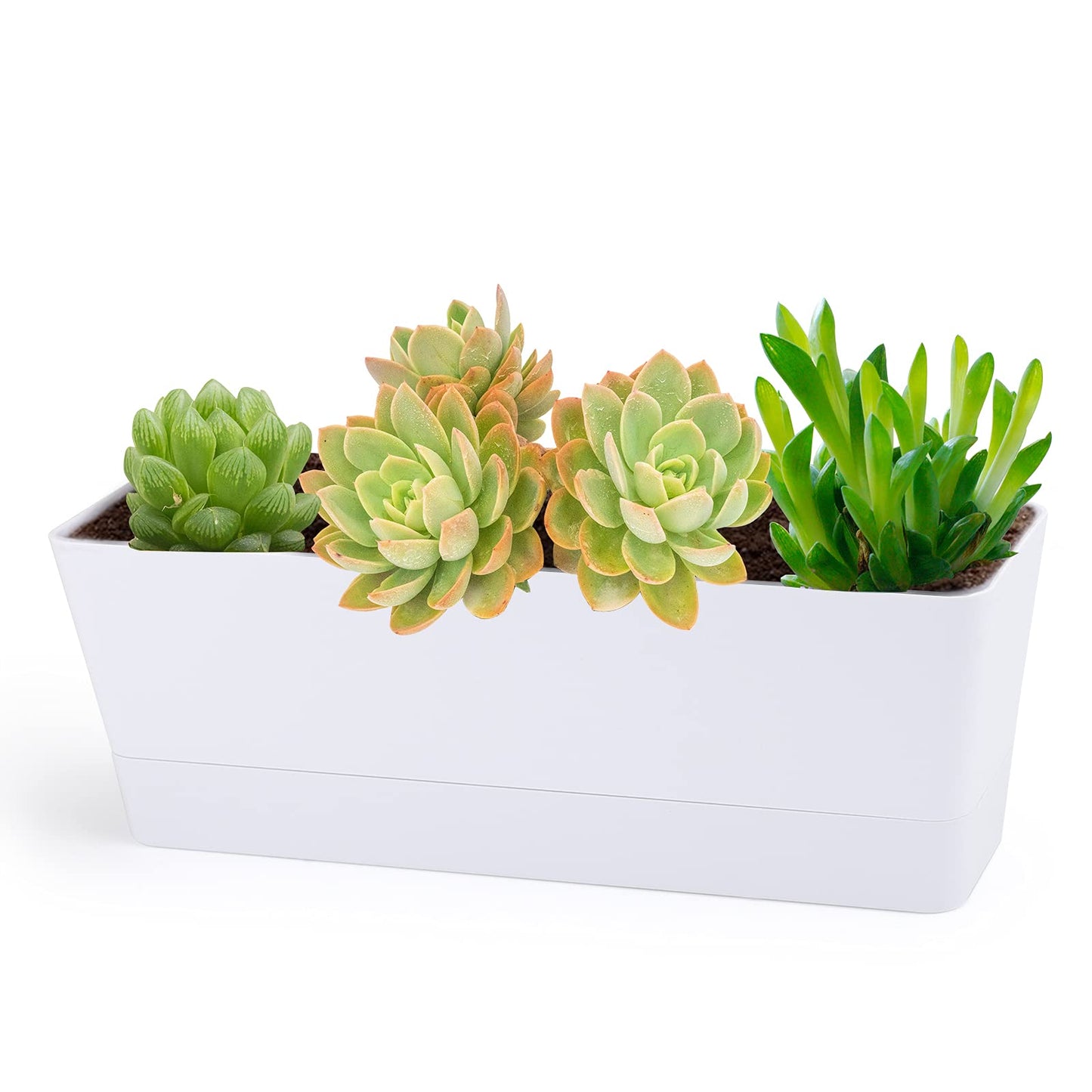 GREANER Herb Planter with Tray, 1 Pack 12x3.8 Inch Rectangle Window Box, Indoor Succulent Flowers Succulent Plastic Pot for Windowsill, Garden, Balcony, Office Outdoor Decoration - White