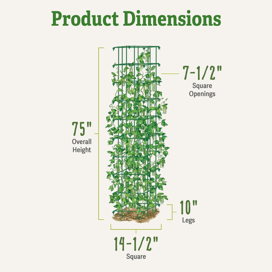 Gardeners Supply Company Large Bean Tower Plant Support | Sturdy Weatherproof Outdoor Beans, Tomato & Other Climbing Vegetable Garden Stake | 75" H - Green