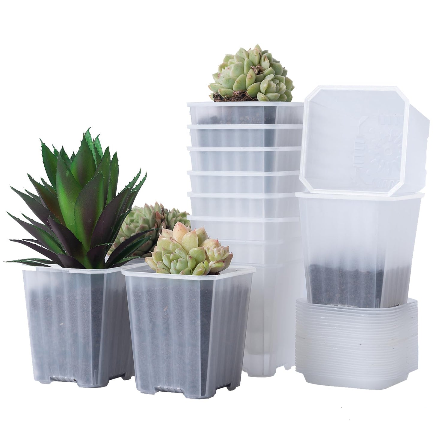 foxany 3 Inch Clear Nursery Pots, 30 Pcs Thick Plastic Plant Pot, Square Flower Planting Pots Variety Pack, Seedling Planter Starter Pots with Saucers for Garden