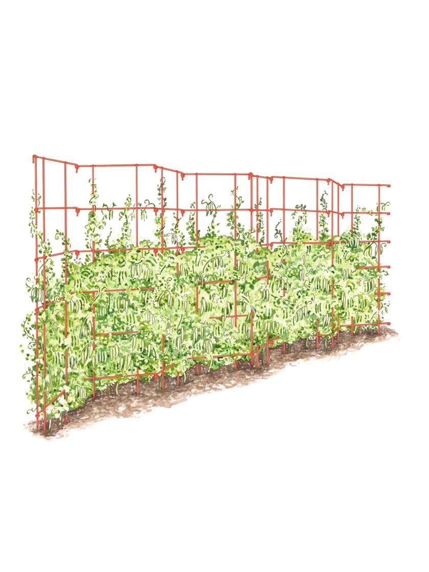 Gardeners Supply Company Sturdy Expandable Tall Pea Trellis for Climbing Plants | Multi-Use Heavy Duty Outdoor Garden Peas, Tomato, Cucumber Steel Plant Support | 9'-8" L x 37" H - Red