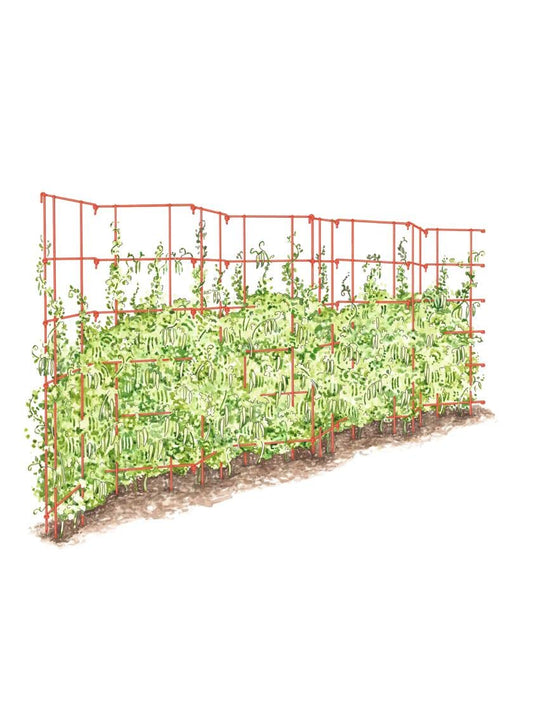 Gardeners Supply Company Sturdy Expandable Tall Pea Trellis for Climbing Plants | Multi-Use Heavy Duty Outdoor Garden Peas, Tomato, Cucumber Steel Plant Support | 9'-8" L x 37" H - Red