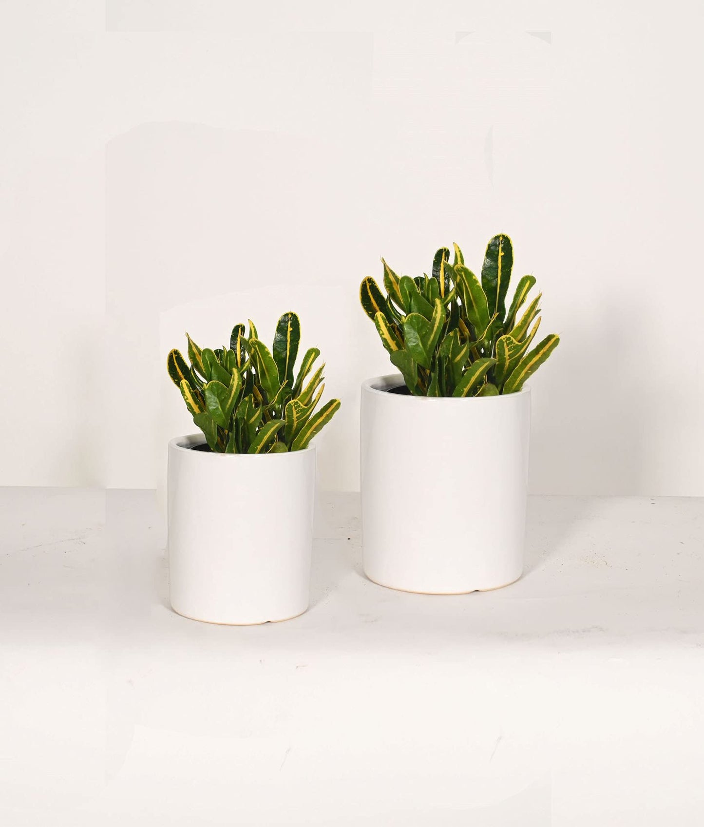 Saratoga Style Ceramic Planter Pots - Two Ceramic Plant Pots (6"& 5") - Indoor Planter Pots - Flower Pots- Plants not Included (6''White/5''White)