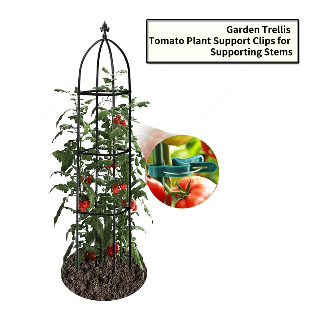 Garden Trellis for Climbing Plants Outdoor - Powder-Coated Steel 63" Metal Trellis Towering Plant Support - Heavy Duty Obelisk Trellis for Climbing Vine, Vegetables & Flowers,Deep Green