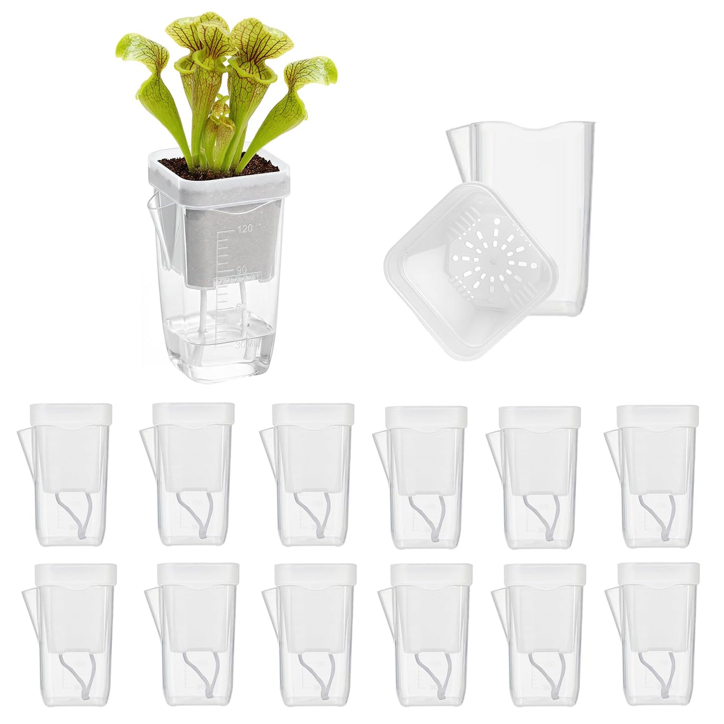 20 Pack Mini Self Watering Pots for Indoor Plants, 2'' Small Clear Plastic Planters with Water Level Indicator & Drainage Hole, Automatic-Watering Pot for Propagation Succulents and African Violet