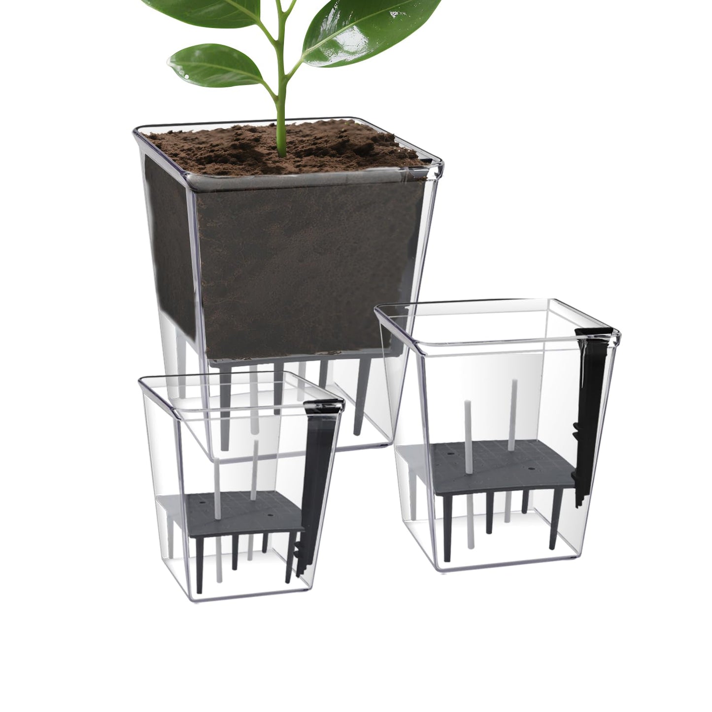 YITOBA 3 Sizes Clear Self Watering Pots Set, Small Flower Pots for Indoor Plants with Visible Reservoir and Wick Rope, Plastic Indoor Planter for Seedlings, Orchid African Violet (Clear)