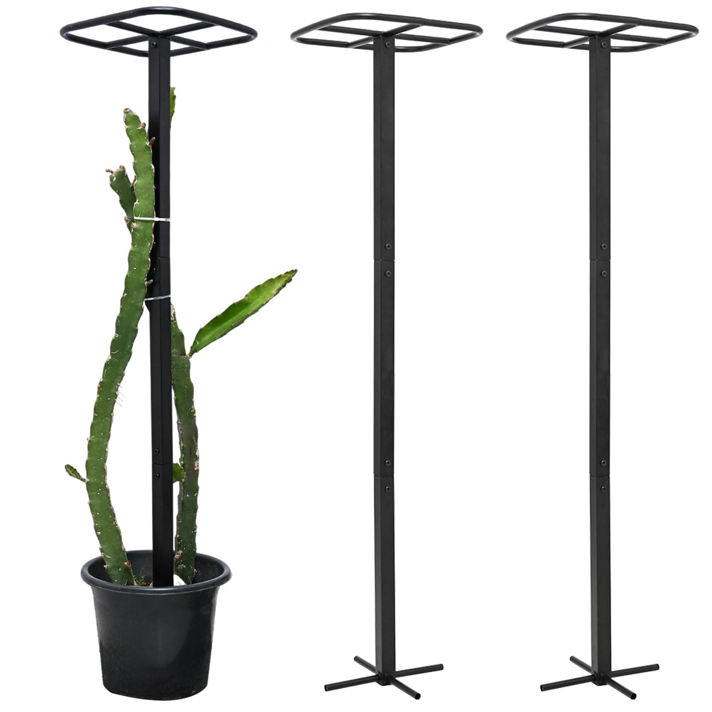 Yohsnor 2-Pack Metal Dragon Fruit Trellis - Durable Vertical Garden Support for Climbing Plants, Easy to Assemble, 12x12x50 Inches for Dragon Fruit Enthusiasts