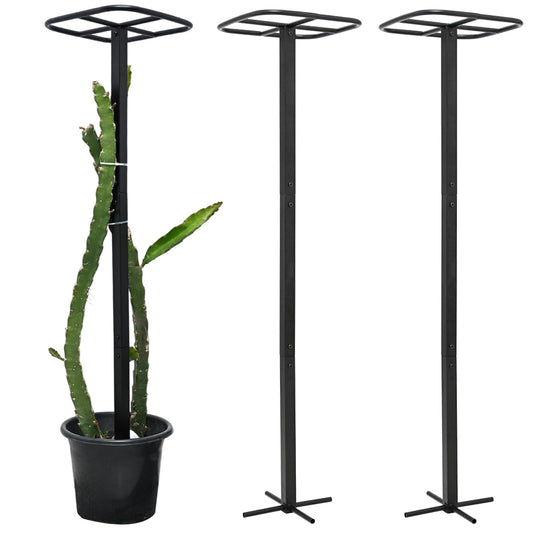 Yohsnor 2-Pack Metal Dragon Fruit Trellis - Durable Vertical Garden Support for Climbing Plants, Easy to Assemble, 12x12x50 Inches for Dragon Fruit Enthusiasts