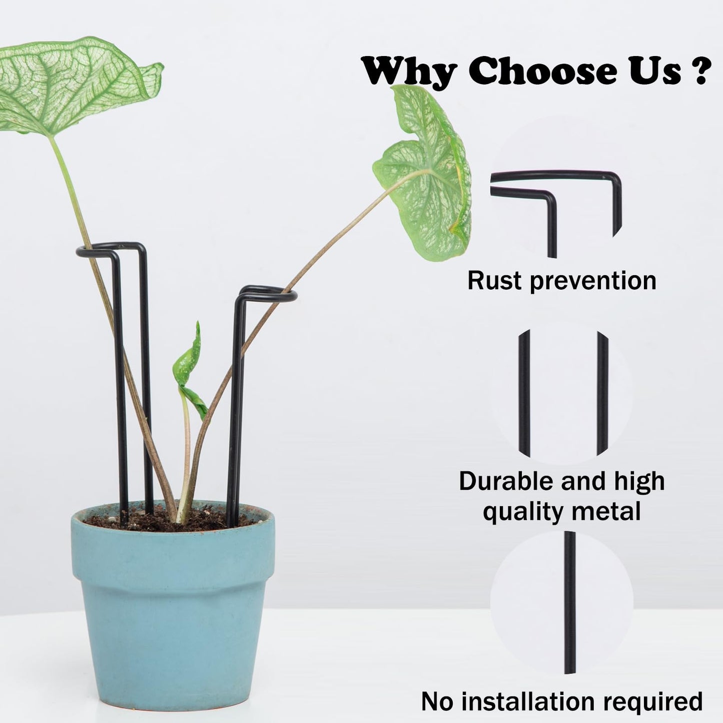GOOOXIM 10 Pack Indoor Plant Support for Monstera Trellis Stakes and Stem Holder - Perfect for Small Indoor Plants, Desktop Gardens & Flower Shelf Use, Easy to Set Up and Efficient Support