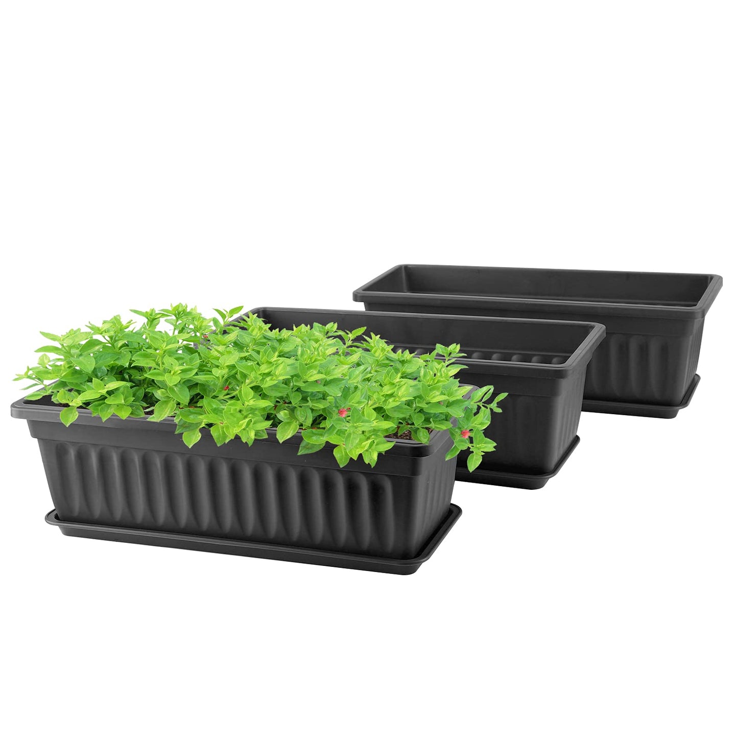 GREANER Rectangle Planters for Indoor Plants, 3 Pack Long Outdoor Plastic Flower Boxes Vegetable Growing Pots 16.9x7.48 Inch with Tray for Garden Balcony Windowsill House DIY - Black