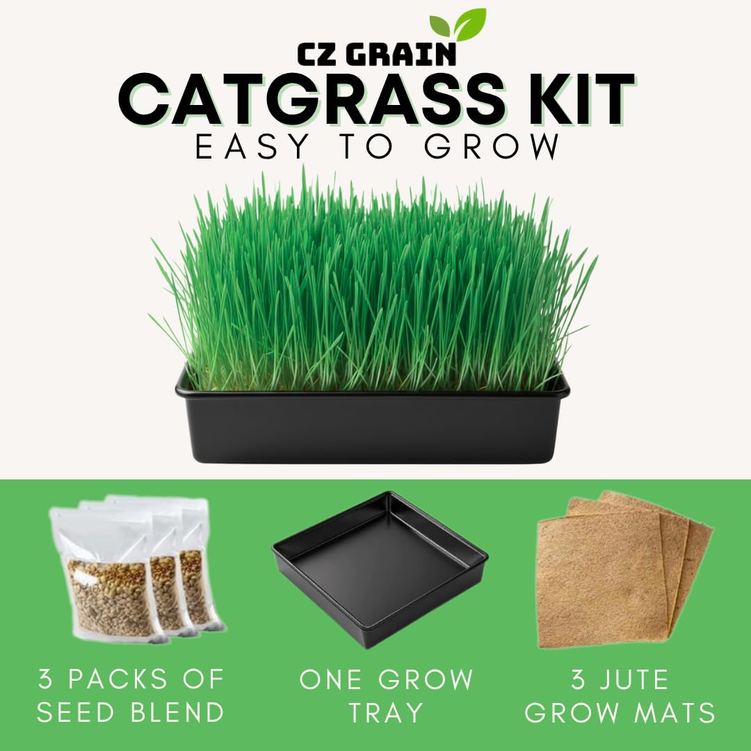 Cat Grass Growing Kit - Gift for Cat Owners & Pet Lovers - Organic Seed, Jute Grow Mats, 10 x 10 Container - Great for Indoor/Outdoor Pets - Pet Grass - Complete Set - No Tools Required