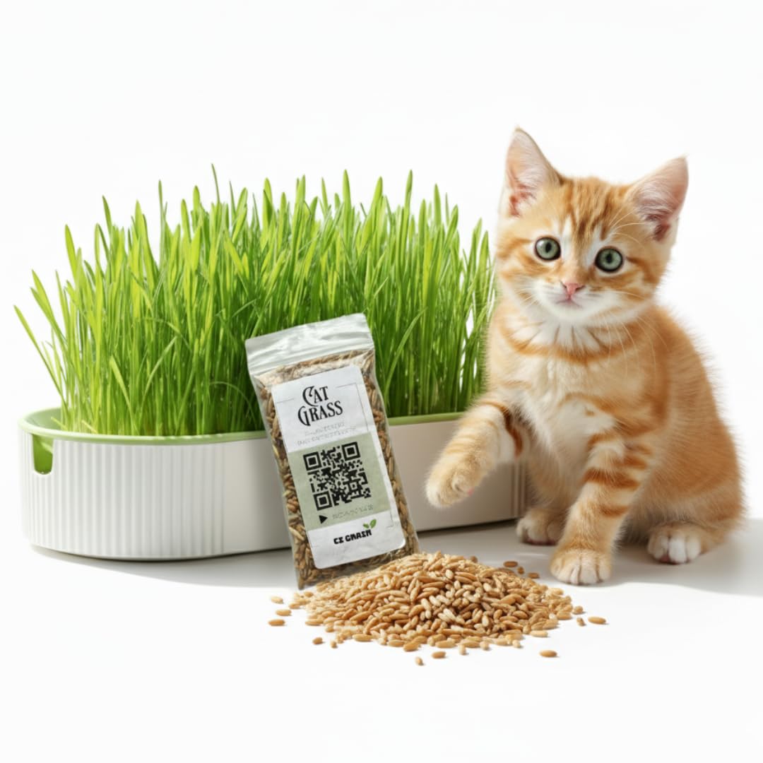 Hydroponic Cat Grass Grow Kit for Indoor Cats - Cat Lover Gift - New Pet Present - Grow Container and 2 Oz Cat Grass Non-GMO Seeds - No Soil or Tools Needed - Modern Look - Loved by Pets