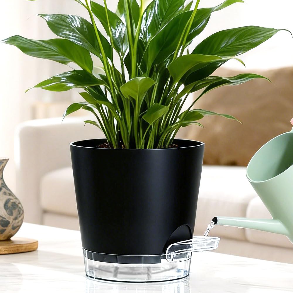 KEETUMOOD Self Watering Pots for Plants, 2026 New Flower Plant Pots with Drainage Holes, Wicking and Clear Reservoirs for Succulent, Aloe, Cacti and Others - 6 Pack (Black, 6")