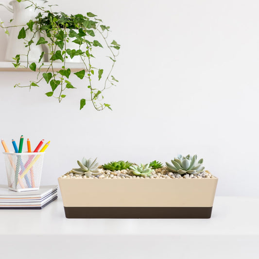 Suream Window Box Herb Planters, 3 Pack 16 x3.8 Inch Indoor Rectangle Succulent Cactus Plant Pots with Saucer, Modern Plastic Flower Container for Windowsill, Garden Balcony, Home Office Outdoor Decor