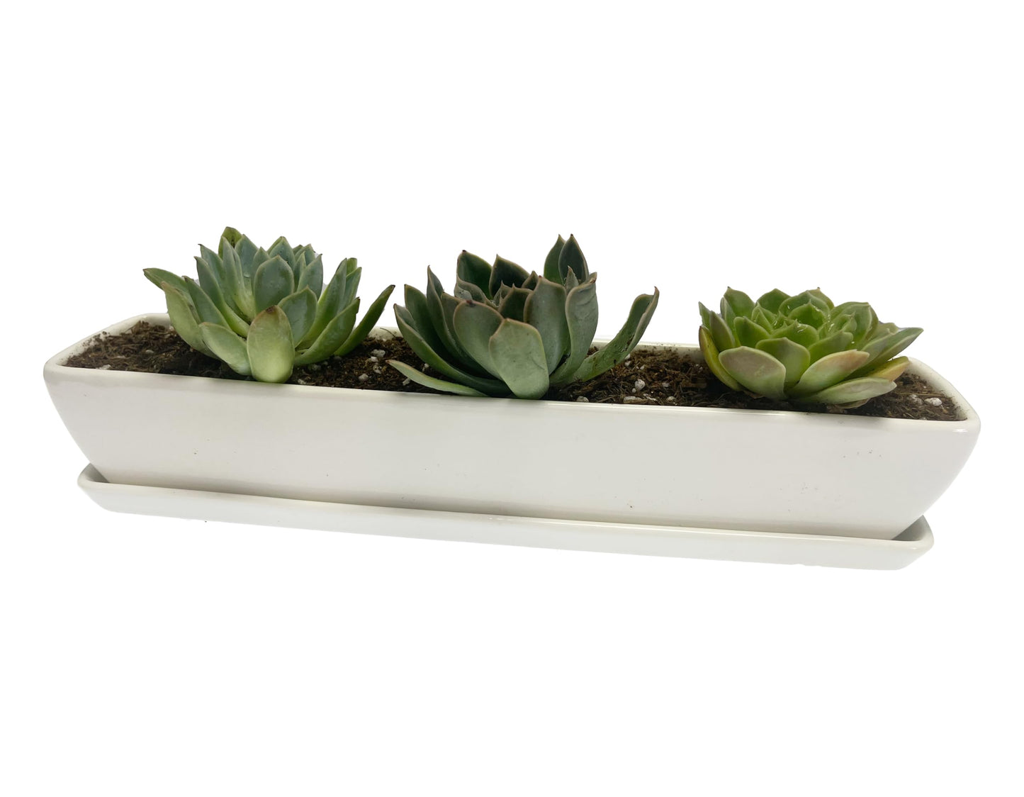 Kipokalor Long Rectangular Modern Succulent Planter Pot, 2 Set of 11.1x2.36x1.77inch Minimalist White Ceramic Succulent Planter Pot with Ceramic Saucer for Office,Desk,Window.