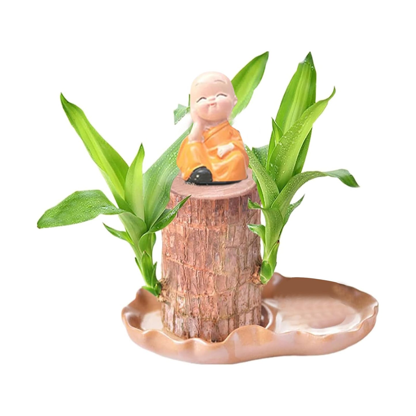 LuxeOne Brazil Wood Hydroponic Tree Stump with Doll & Tray, Brazil Wood Potted Plant, Brazilian Wooden Hydroponic Planting with Tray, for Indoor Office Desktop (C)